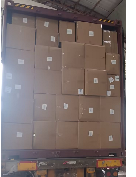 Aug. 16, 2026 | Container Loading in Fuyong, China – China to USA Sea Freight